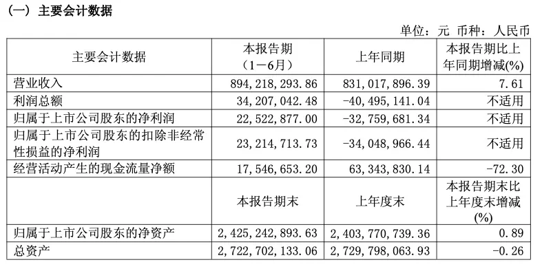 Lily & Beauty H1 2026 Financial Report