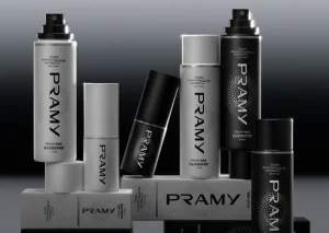 PRAMY: A Focus on Professional Makeup Setting